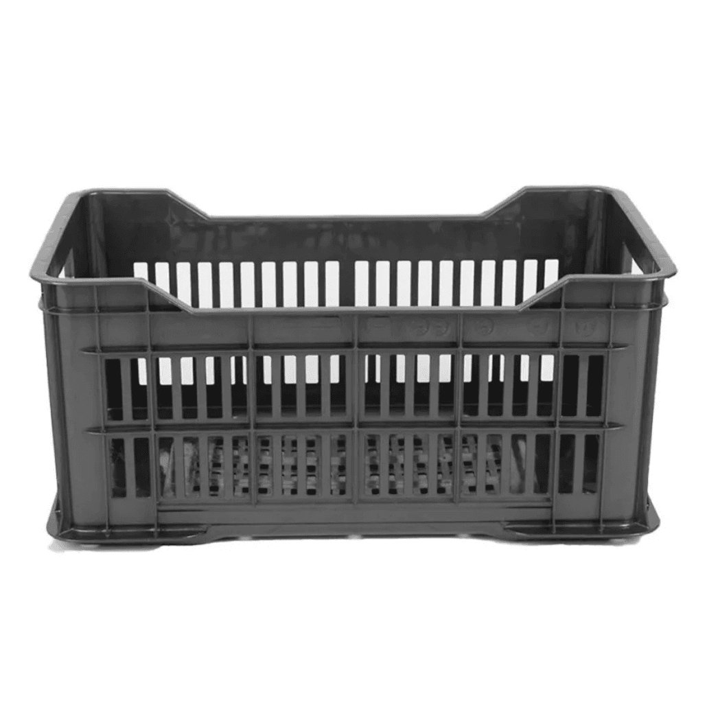 Canasto torito - Image 1